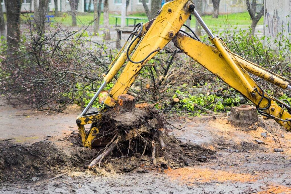 Methods for Tree Stump Removal