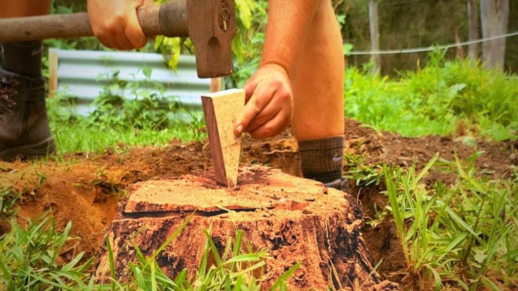 Tree Stump Removal