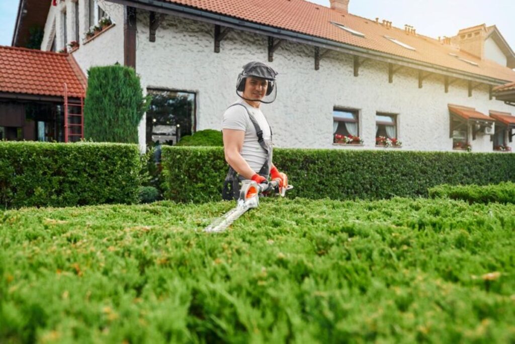 Residential hedge trimming