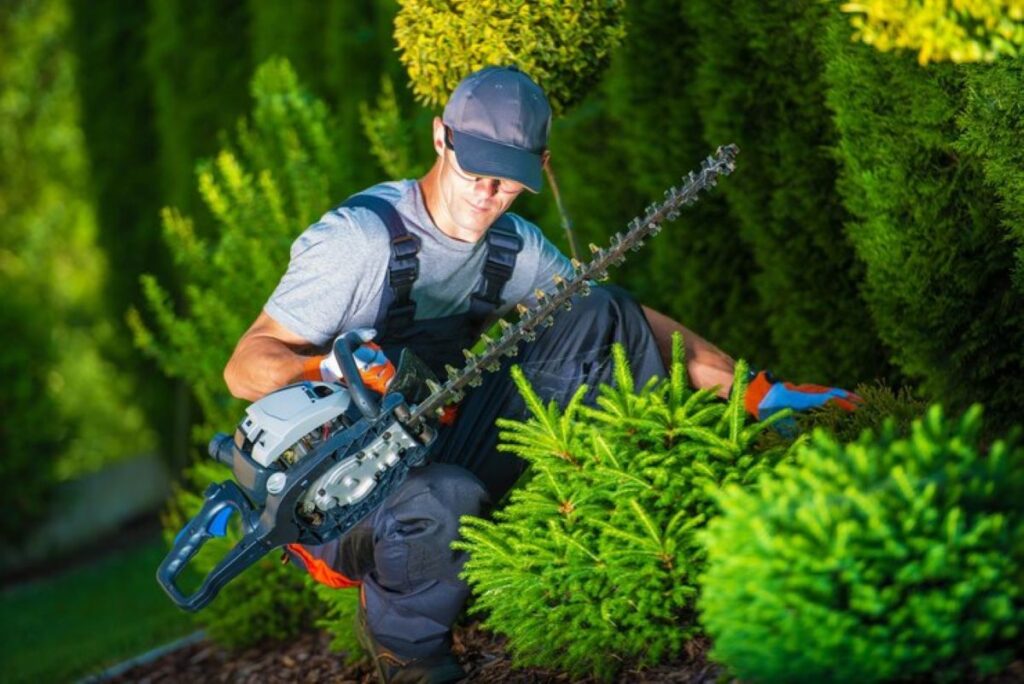 Commercial hedge trimming