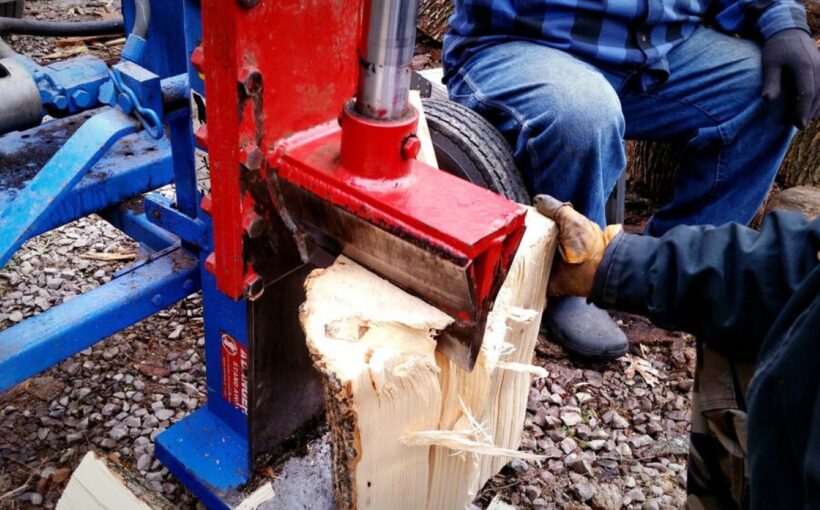 tree stump removal