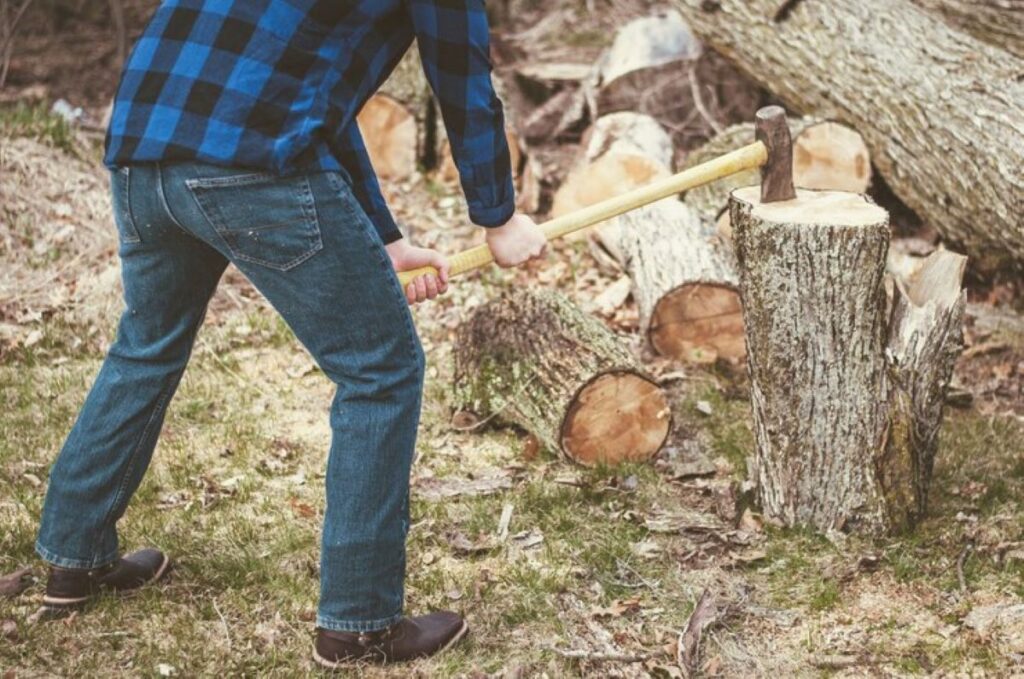 tree stump removal